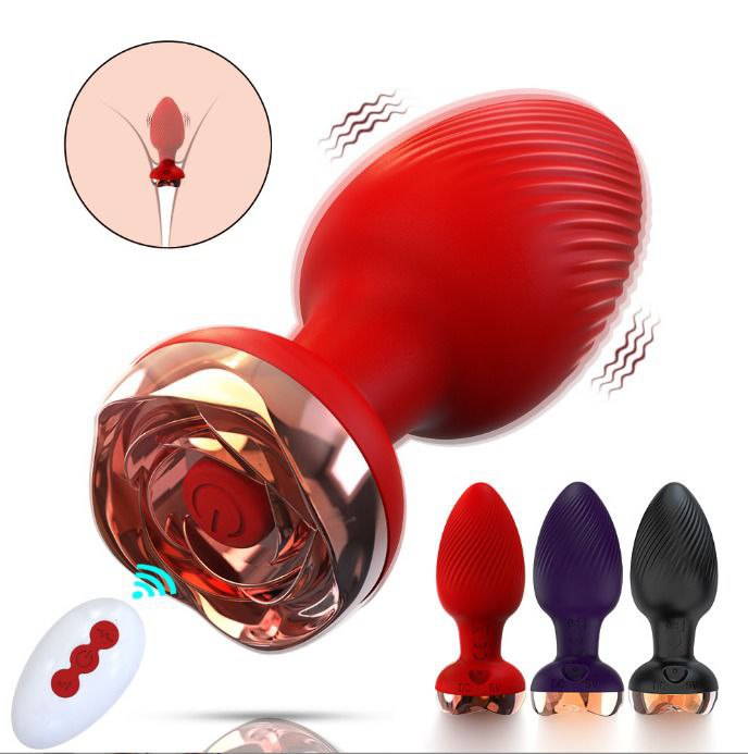 Plug anal vibrador (107)