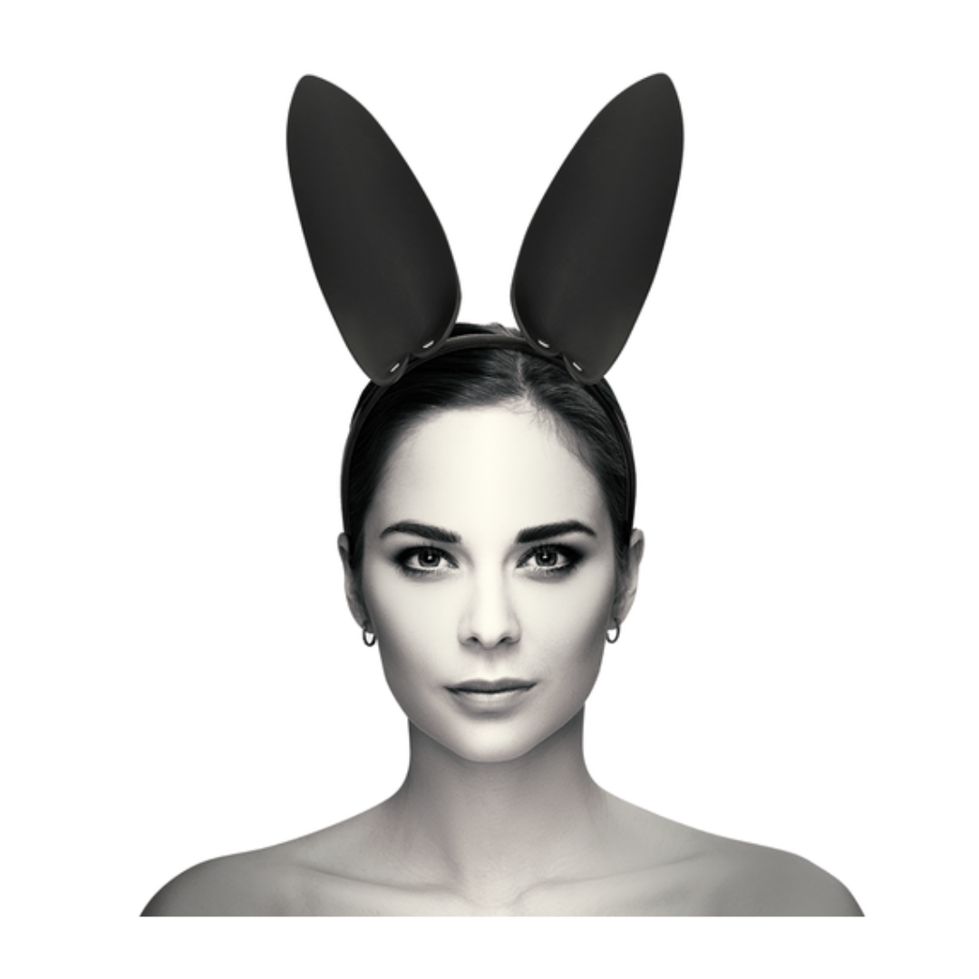 Orejas de conejita (294)