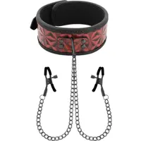 Collar Bdsm Con Pinzas (343)