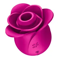 satisfyer pro2 modern blossom(551)